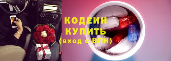 PSILOCYBIN Сясьстрой