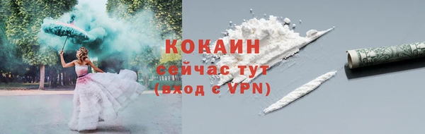 PSILOCYBIN Сясьстрой