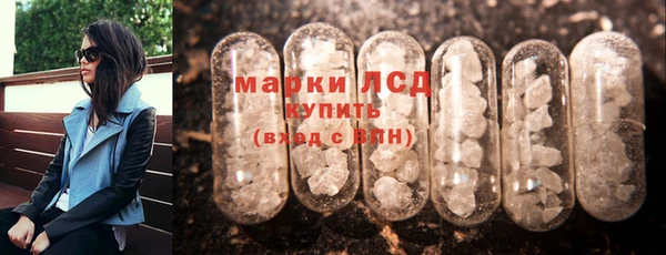 PSILOCYBIN Сясьстрой