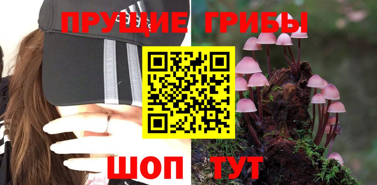 Галлюциногенные грибы MAGIC MUSHROOMS  даркнет сайт  Ноябрьск  Вход с VPN 